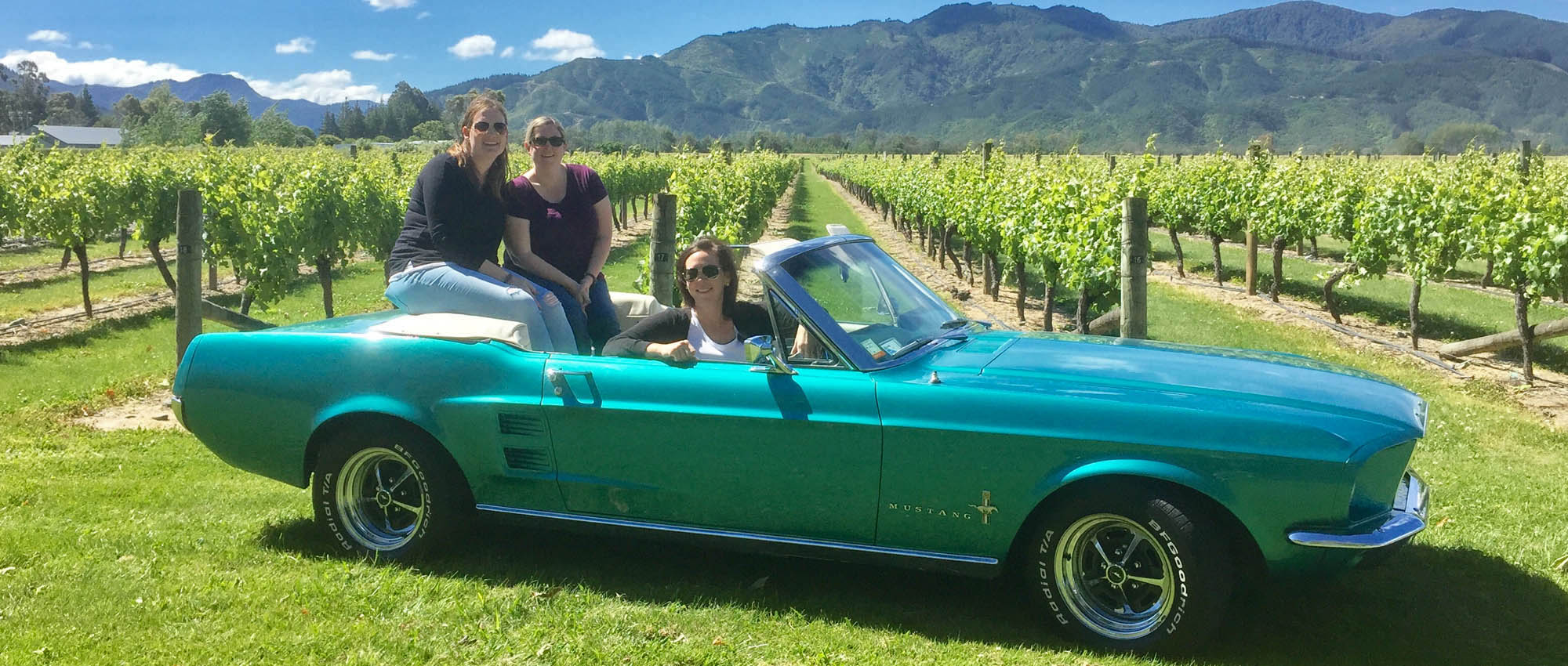 Classic Car Wine Tour Marlborough