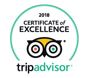 excellence 2018